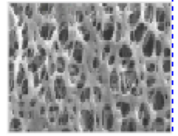 聚醚砜滤芯 聚醚砜滤芯