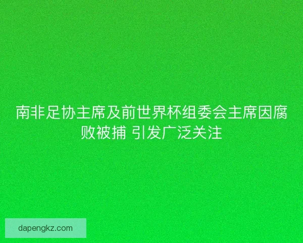 南非足协主席及前世界杯组委会主席因腐败被捕 引发广泛关注