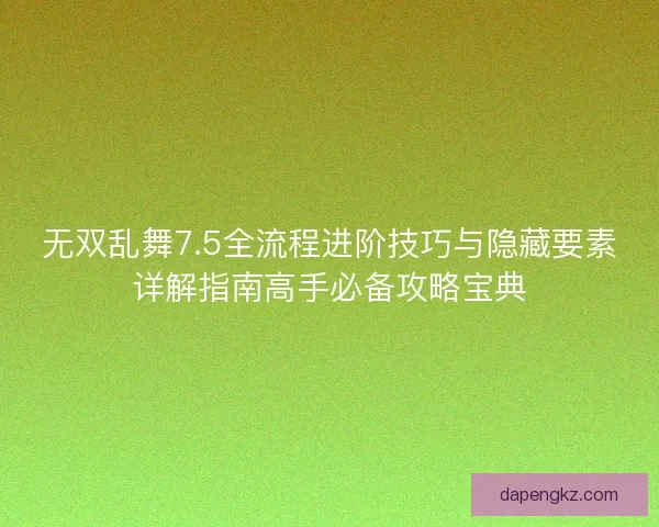 无双乱舞7.5全流程进阶技巧与隐藏要素详解指南高手必备攻略宝典